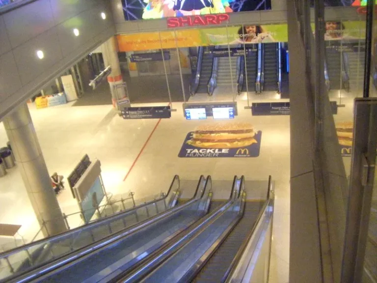 427489_335622103136051_100000647917585_1101633_788296738_n