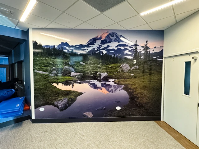 Vail Health - mountainscape wall wrap mural